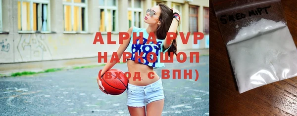 mdpv Бородино