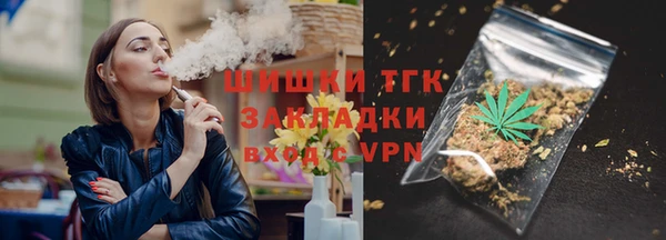 mdpv Бородино