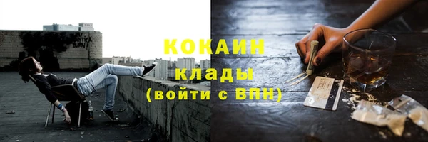 mdpv Бородино