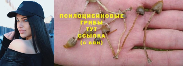 дмт Верея
