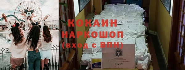 mdpv Бородино